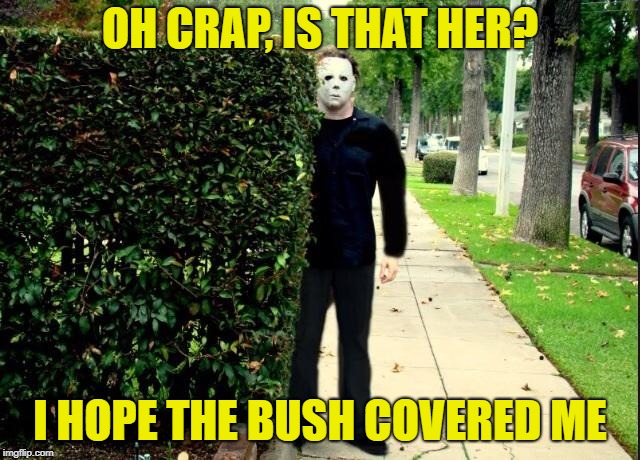 Michael Myers Bush Stalking | OH CRAP, IS THAT HER? I HOPE THE BUSH COVERED ME | image tagged in michael myers bush stalking | made w/ Imgflip meme maker