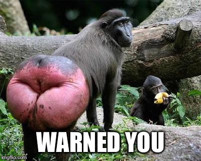 Baboon Butt | WARNED YOU | image tagged in baboon butt | made w/ Imgflip meme maker