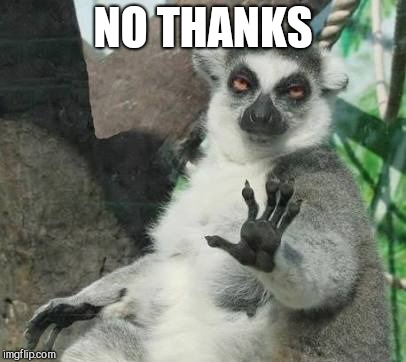 No thanks lemur | NO THANKS | image tagged in no thanks lemur | made w/ Imgflip meme maker