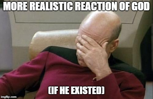 Captain Picard Facepalm Meme | MORE REALISTIC REACTION OF GOD (IF HE EXISTED) | image tagged in memes,captain picard facepalm | made w/ Imgflip meme maker