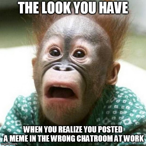 Shocked Monkey | THE LOOK YOU HAVE; WHEN YOU REALIZE YOU POSTED A MEME IN THE WRONG CHATROOM AT WORK | image tagged in shocked monkey | made w/ Imgflip meme maker