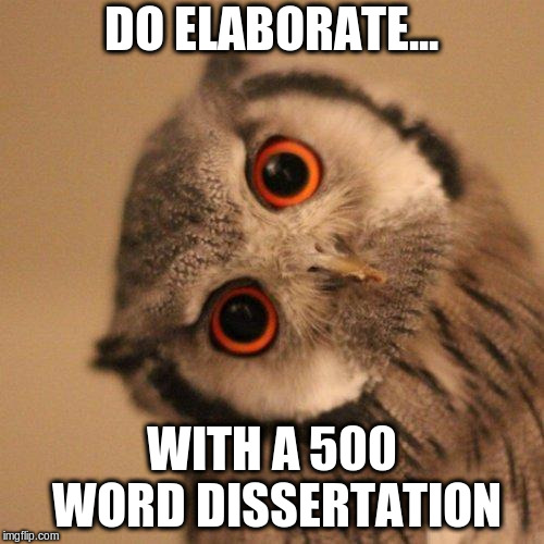 inquisitve owl | DO ELABORATE... WITH A 500 WORD DISSERTATION | image tagged in inquisitve owl | made w/ Imgflip meme maker