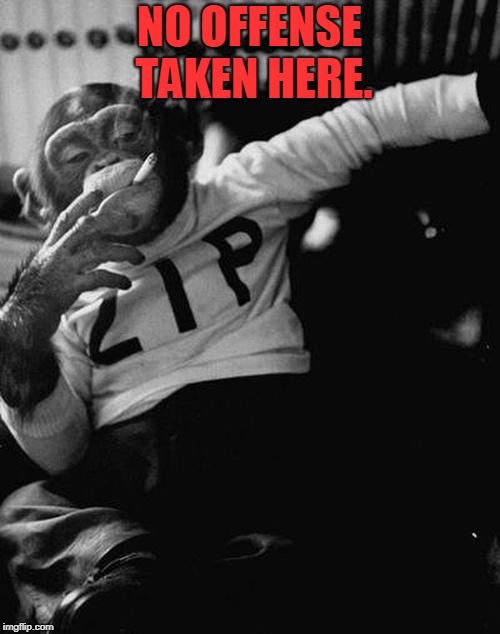 smoking monkey  | NO OFFENSE TAKEN HERE. | image tagged in smoking monkey | made w/ Imgflip meme maker