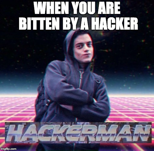 HackerMan | WHEN YOU ARE BITTEN BY A HACKER | image tagged in hackerman | made w/ Imgflip meme maker