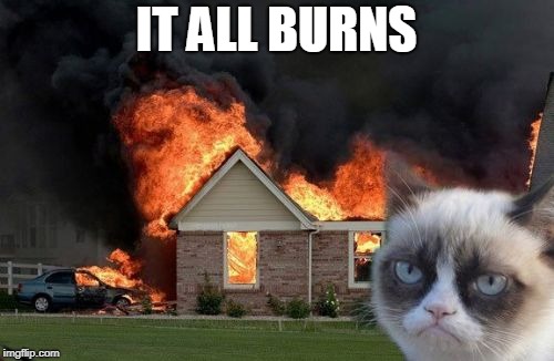 Burn Kitty Meme | IT ALL BURNS | image tagged in memes,burn kitty,grumpy cat | made w/ Imgflip meme maker