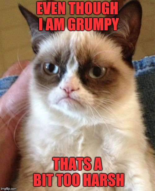 Grumpy Cat Meme | EVEN THOUGH I AM GRUMPY THATS A BIT TOO HARSH | image tagged in memes,grumpy cat | made w/ Imgflip meme maker