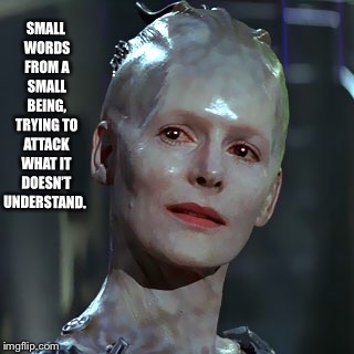 SMALL WORDS FROM A SMALL BEING, TRYING TO ATTACK WHAT IT DOESN’T UNDERSTAND. | image tagged in the borg | made w/ Imgflip meme maker