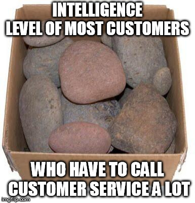 Box of Rocks | INTELLIGENCE LEVEL OF MOST CUSTOMERS; WHO HAVE TO CALL CUSTOMER SERVICE A LOT | image tagged in box of rocks | made w/ Imgflip meme maker