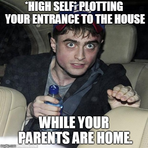 daniel radcliffe | *HIGH SELF* PLOTTING YOUR ENTRANCE TO THE HOUSE; WHILE YOUR PARENTS ARE HOME. | image tagged in daniel radcliffe | made w/ Imgflip meme maker
