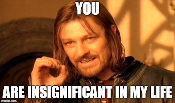 One Does Not Simply | YOU; ARE INSIGNIFICANT IN MY LIFE | image tagged in memes,we dont care | made w/ Imgflip meme maker