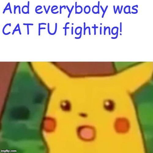 Surprised Pikachu Meme | And everybody was CAT FU fighting! | image tagged in memes,surprised pikachu | made w/ Imgflip meme maker