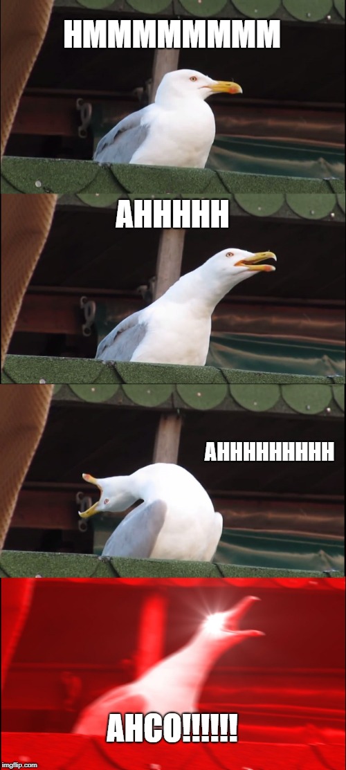 Inhaling Seagull | HMMMMMMMM; AHHHHH; AHHHHHHHHH; AHCO!!!!!! | image tagged in memes,inhaling seagull | made w/ Imgflip meme maker