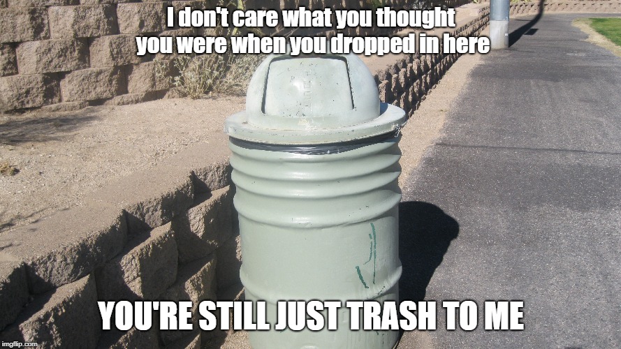 Trash Talking | I don't care what you thought you were when you dropped in here; YOU'RE STILL JUST TRASH TO ME | image tagged in trash can,trash talking,memes | made w/ Imgflip meme maker