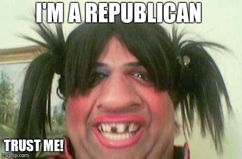 ugly woman with pigtails | I'M A REPUBLICAN TRUST ME! | image tagged in ugly woman with pigtails | made w/ Imgflip meme maker