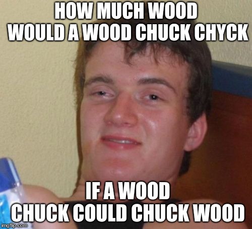 10 Guy Meme | HOW MUCH WOOD WOULD A WOOD CHUCK CHUCK; IF A WOOD CHUCK COULD CHUCK WOOD | image tagged in memes,10 guy | made w/ Imgflip meme maker