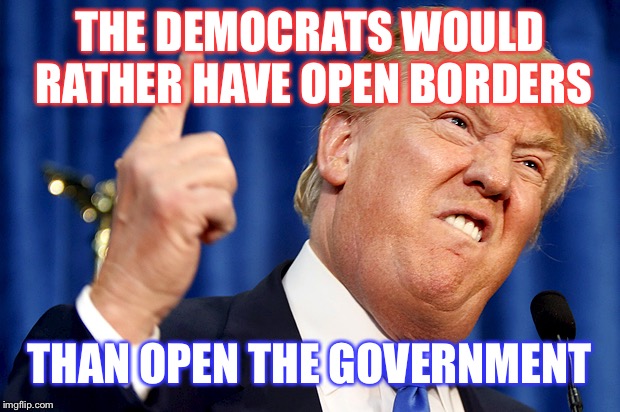 If you are for open borders you are a traitor to the USA - change my mind | THE DEMOCRATS WOULD RATHER HAVE OPEN BORDERS; THAN OPEN THE GOVERNMENT | image tagged in donald trump,build a wall,maga,liberal logic | made w/ Imgflip meme maker