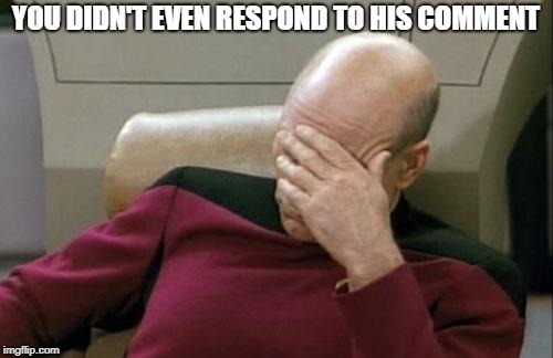 Captain Picard Facepalm Meme | YOU DIDN'T EVEN RESPOND TO HIS COMMENT | image tagged in memes,captain picard facepalm | made w/ Imgflip meme maker