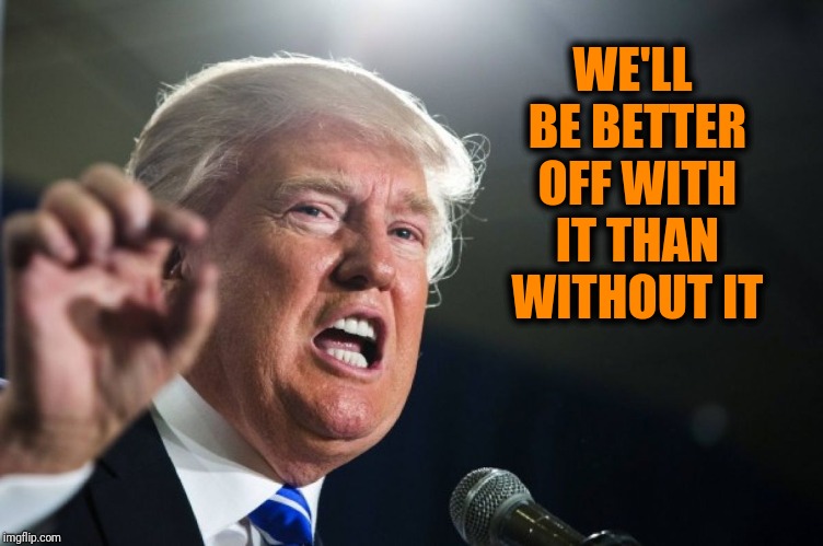 donald trump | WE'LL BE BETTER OFF WITH IT THAN WITHOUT IT | image tagged in donald trump | made w/ Imgflip meme maker