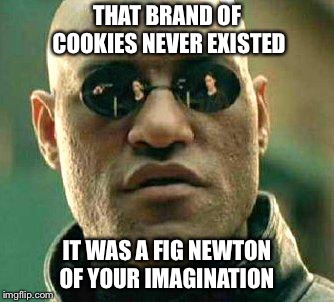 What if I told you... | THAT BRAND OF COOKIES NEVER EXISTED; IT WAS A FIG NEWTON OF YOUR IMAGINATION | image tagged in what if i told you,fig newton,cookies | made w/ Imgflip meme maker