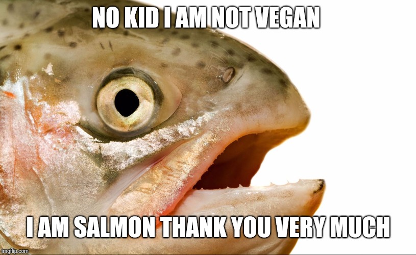Statement salmon | NO KID I AM NOT VEGAN I AM SALMON THANK YOU VERY MUCH | image tagged in statement salmon | made w/ Imgflip meme maker