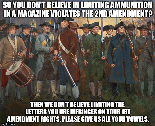 revolutionary militia | SO YOU DON'T BELIEVE IN LIMITING AMMUNITION IN A MAGAZINE VIOLATES THE 2ND AMENDMENT? THEN WE DON'T BELIEVE LIMITING THE LETTERS YOU USE INFRINGES ON YOUR 1ST AMENDMENT RIGHTS. PLEASE GIVE US ALL YOUR VOWELS. | image tagged in revolutionary militia | made w/ Imgflip meme maker