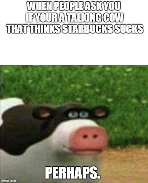 I have finally ran out of s*** to do | WHEN PEOPLE ASK YOU IF YOUR A TALKING COW THAT THINKS STARBUCKS SUCKS; PERHAPS. | image tagged in perhaps cow,my live is a meme,dead meme | made w/ Imgflip meme maker