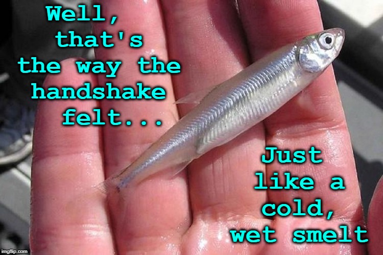 Judging Someone by their Handshake | Well,  that's the way the handshake   felt... Just like a cold, wet smelt | image tagged in vince vance,cold handshake,like a cold fish,felt like a smelt,fishy,palm of a hand | made w/ Imgflip meme maker
