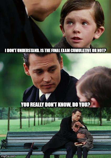 Is the final exam cumulative? | I DON'T UNDERSTAND. IS THE FINAL EXAM CUMULATIVE OR NOT? YOU REALLY DON'T KNOW, DO YOU? | image tagged in memes,finding neverland | made w/ Imgflip meme maker