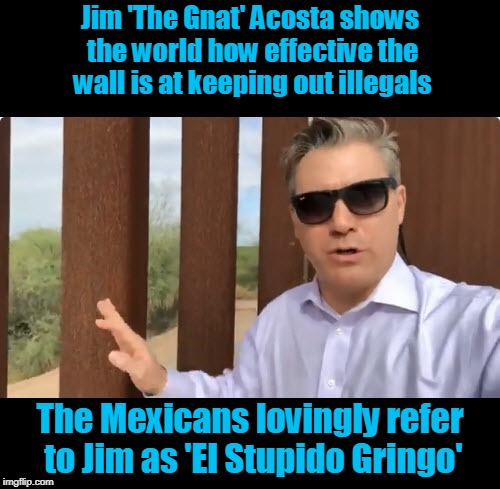 El Stupido Gringo | Jim 'The Gnat' Acosta shows the world how effective the wall is at keeping out illegals; The Mexicans lovingly refer to Jim as 'El Stupido Gringo' | image tagged in elstupidogringo,jimacosta,cnn-fail | made w/ Imgflip meme maker