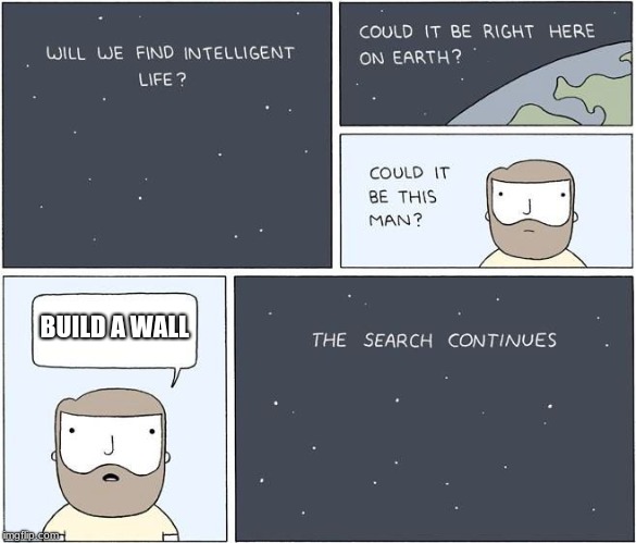 intelligent life  | BUILD A WALL | image tagged in intelligent life | made w/ Imgflip meme maker