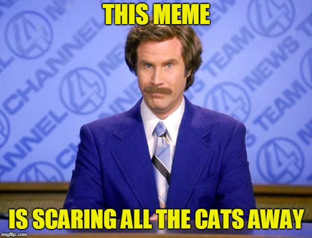 This just in  | THIS MEME IS SCARING ALL THE CATS AWAY | image tagged in this just in | made w/ Imgflip meme maker