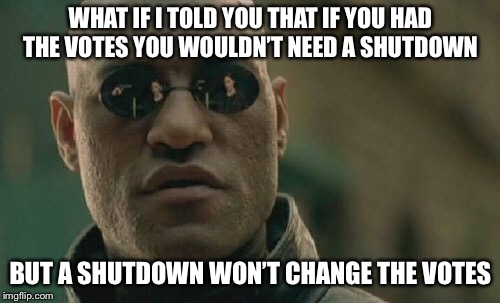 Matrix Morpheus Meme | WHAT IF I TOLD YOU THAT IF YOU HAD THE VOTES YOU WOULDN’T NEED A SHUTDOWN BUT A SHUTDOWN WON’T CHANGE THE VOTES | image tagged in memes,matrix morpheus | made w/ Imgflip meme maker