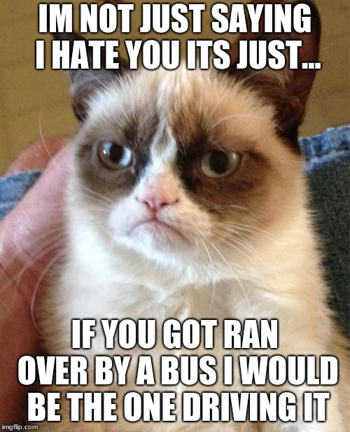 Grumpy Cat | IM NOT JUST SAYING I HATE YOU ITS JUST... IF YOU GOT RAN OVER BY A BUS I WOULD BE THE ONE DRIVING IT | image tagged in memes,grumpy cat | made w/ Imgflip meme maker