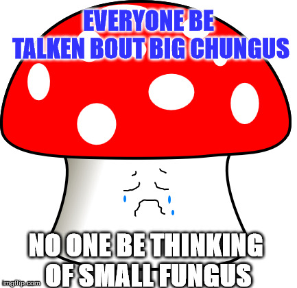 EVERYONE BE TALKEN BOUT BIG CHUNGUS; NO ONE BE THINKING OF SMALL FUNGUS | image tagged in big chungus,mushrooms,memes | made w/ Imgflip meme maker
