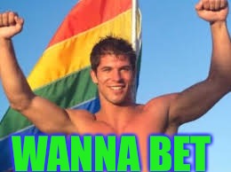 Gay pride | WANNA BET | image tagged in gay pride | made w/ Imgflip meme maker