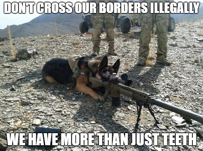 GTFO | DON'T CROSS OUR BORDERS ILLEGALLY; WE HAVE MORE THAN JUST TEETH | image tagged in meme,illegal immigrants,illegals,guns,secure the border,border | made w/ Imgflip meme maker
