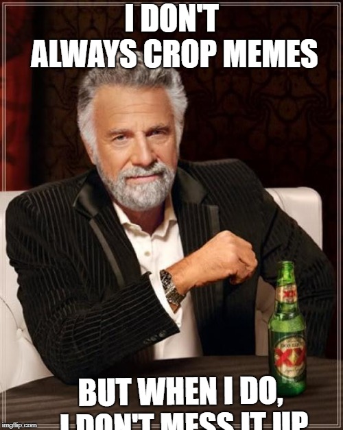 The Most Interesting Man In The World Meme | I DON'T ALWAYS CROP MEMES; BUT WHEN I DO, I DON'T MESS IT UP | image tagged in memes,the most interesting man in the world | made w/ Imgflip meme maker
