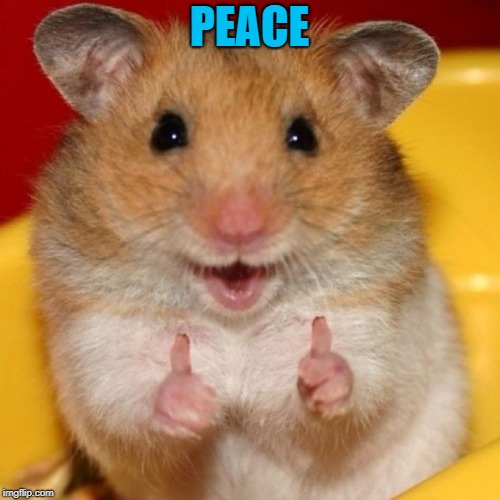 thumbs up | PEACE | image tagged in thumbs up | made w/ Imgflip meme maker