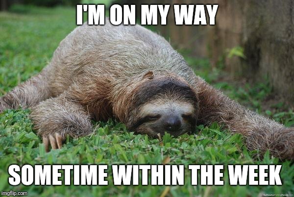 Sleeping sloth | I'M ON MY WAY SOMETIME WITHIN THE WEEK | image tagged in sleeping sloth | made w/ Imgflip meme maker