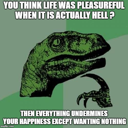 Existent Philo Raptor version memer |  YOU THINK LIFE WAS PLEASUREFUL WHEN IT IS ACTUALLY HELL ? THEN EVERYTHING UNDERMINES YOUR HAPPINESS EXCEPT WANTING NOTHING | image tagged in memes,philosoraptor | made w/ Imgflip meme maker