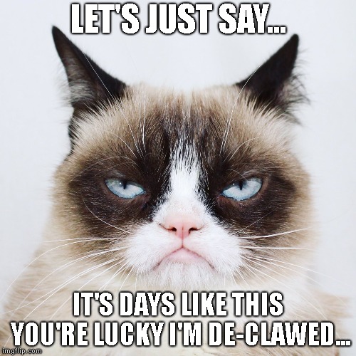 True Story | LET'S JUST SAY... IT'S DAYS LIKE THIS YOU'RE LUCKY I'M DE-CLAWED... | image tagged in angry cat,murdering cat,declawed,i don't like mondays | made w/ Imgflip meme maker