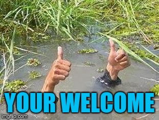FLOODING THUMBS UP | YOUR WELCOME | image tagged in flooding thumbs up | made w/ Imgflip meme maker