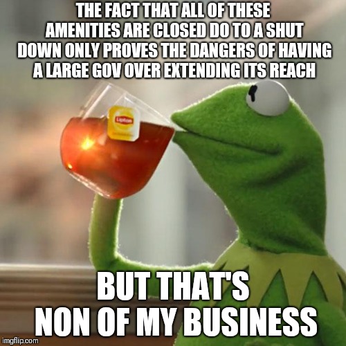 But That's None Of My Business | THE FACT THAT ALL OF THESE AMENITIES ARE CLOSED DO TO A SHUT DOWN ONLY PROVES THE DANGERS OF HAVING A LARGE GOV OVER EXTENDING ITS REACH; BUT THAT'S NON OF MY BUSINESS | image tagged in memes,but thats none of my business,kermit the frog | made w/ Imgflip meme maker