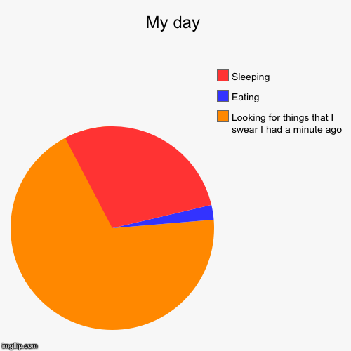 My day | Looking for things that I swear I had a minute ago, Eating, Sleeping | image tagged in funny,pie charts | made w/ Imgflip chart maker