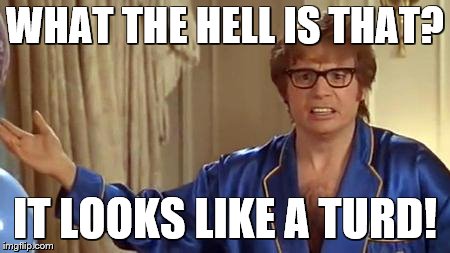 WHAT THE HELL IS THAT? IT LOOKS LIKE A TURD! | image tagged in austin powers honestly | made w/ Imgflip meme maker