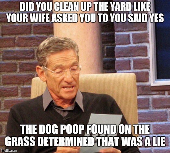 Maury Lie Detector | DID YOU CLEAN UP THE YARD LIKE YOUR WIFE ASKED YOU TO YOU SAID YES; THE DOG POOP FOUND ON THE GRASS DETERMINED THAT WAS A LIE | image tagged in maury lie detector | made w/ Imgflip meme maker