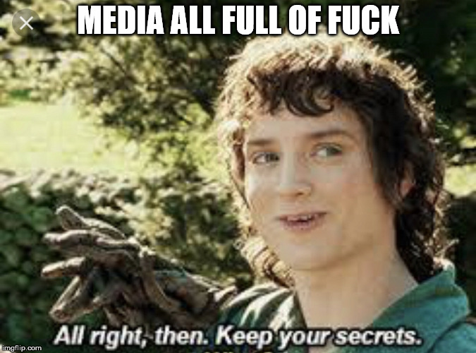 Frodo secrets | MEDIA ALL FULL OF FUCK | image tagged in frodo secrets | made w/ Imgflip meme maker