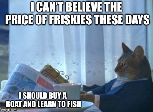 I Should Buy A Boat Cat Meme | I CAN’T BELIEVE THE PRICE OF FRISKIES THESE DAYS; I SHOULD BUY A BOAT AND LEARN TO FISH | image tagged in memes,i should buy a boat cat | made w/ Imgflip meme maker