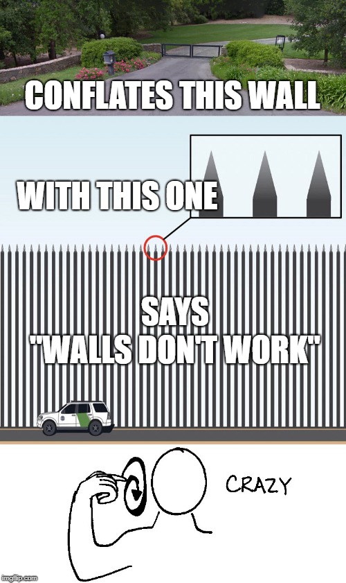 Nancy Pelosi, Laura Loomer, Trump walls | CONFLATES THIS WALL; WITH THIS ONE; SAYS; "WALLS DON'T WORK" | image tagged in pelosi,loomer,trump,wall,border wall | made w/ Imgflip meme maker