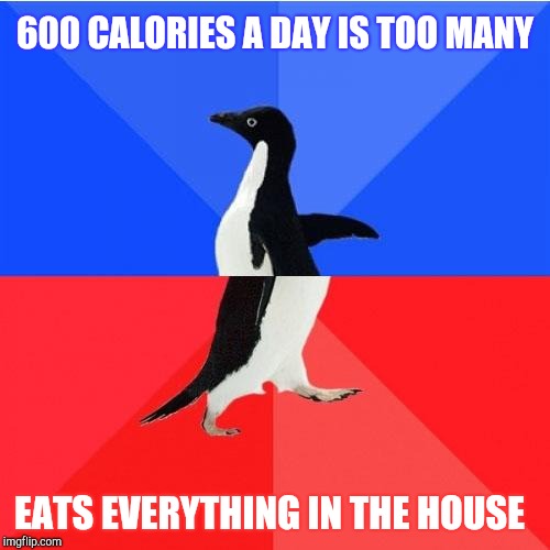 Dieting awesome awkward penguin | 600 CALORIES A DAY IS TOO MANY; EATS EVERYTHING IN THE HOUSE | image tagged in memes,socially awkward awesome penguin,dieting | made w/ Imgflip meme maker